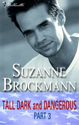 Title details for Tall, Dark and Dangerous Part 3 by Suzanne Brockmann - Wait list